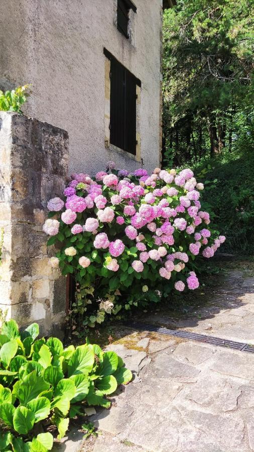 La Fontaine Du Mas Bed & Breakfast Thiviers Bagian luar foto